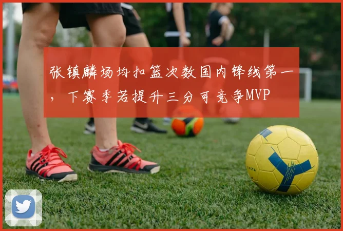 张镇麟场均扣篮次数国内锋线第一，下赛季若提升三分可竞争MVP